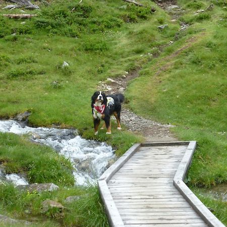 B&B,Bergheimat Oase Irschen Exteriör bild