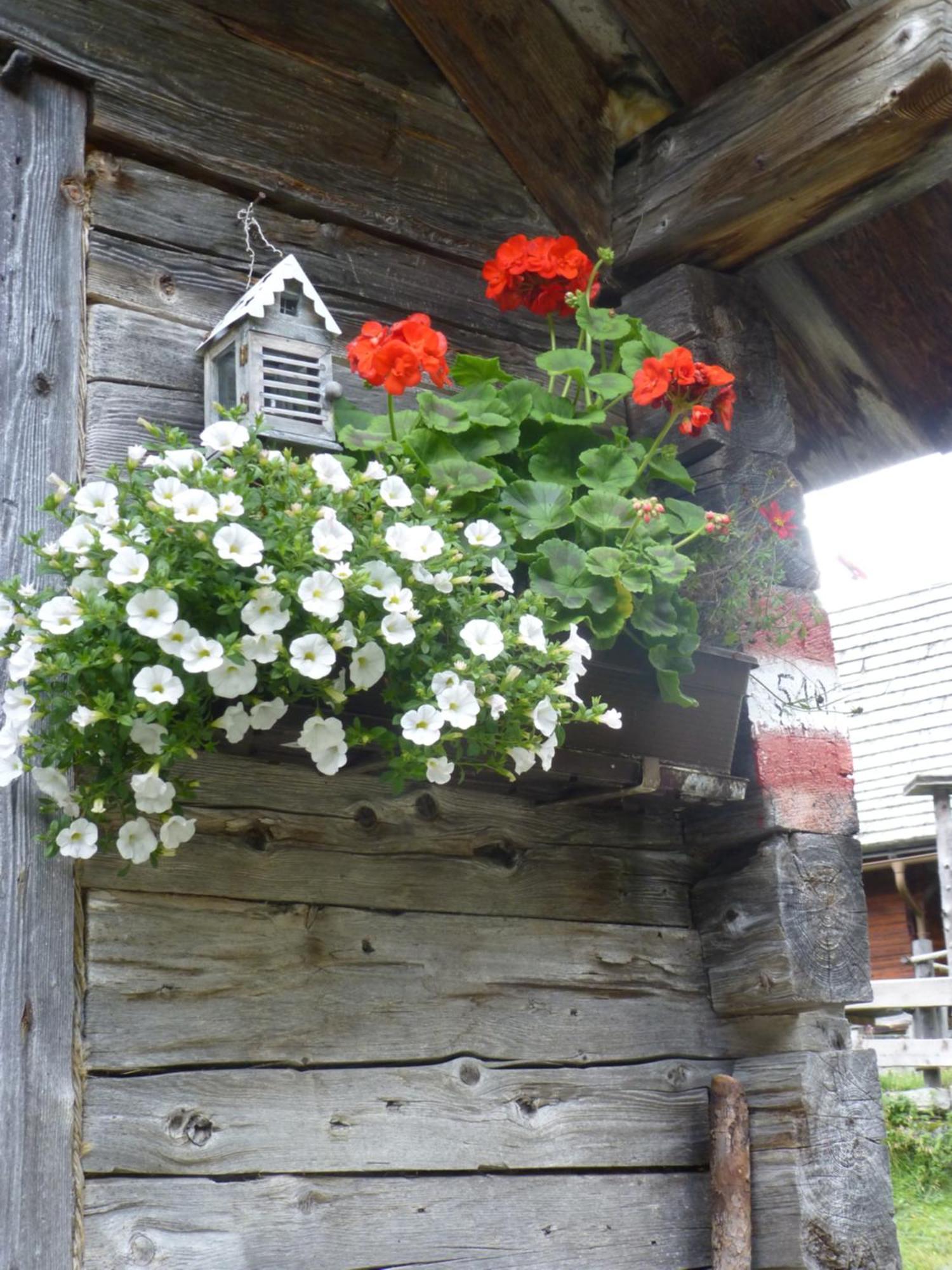 B&B,Bergheimat Oase Irschen Exteriör bild