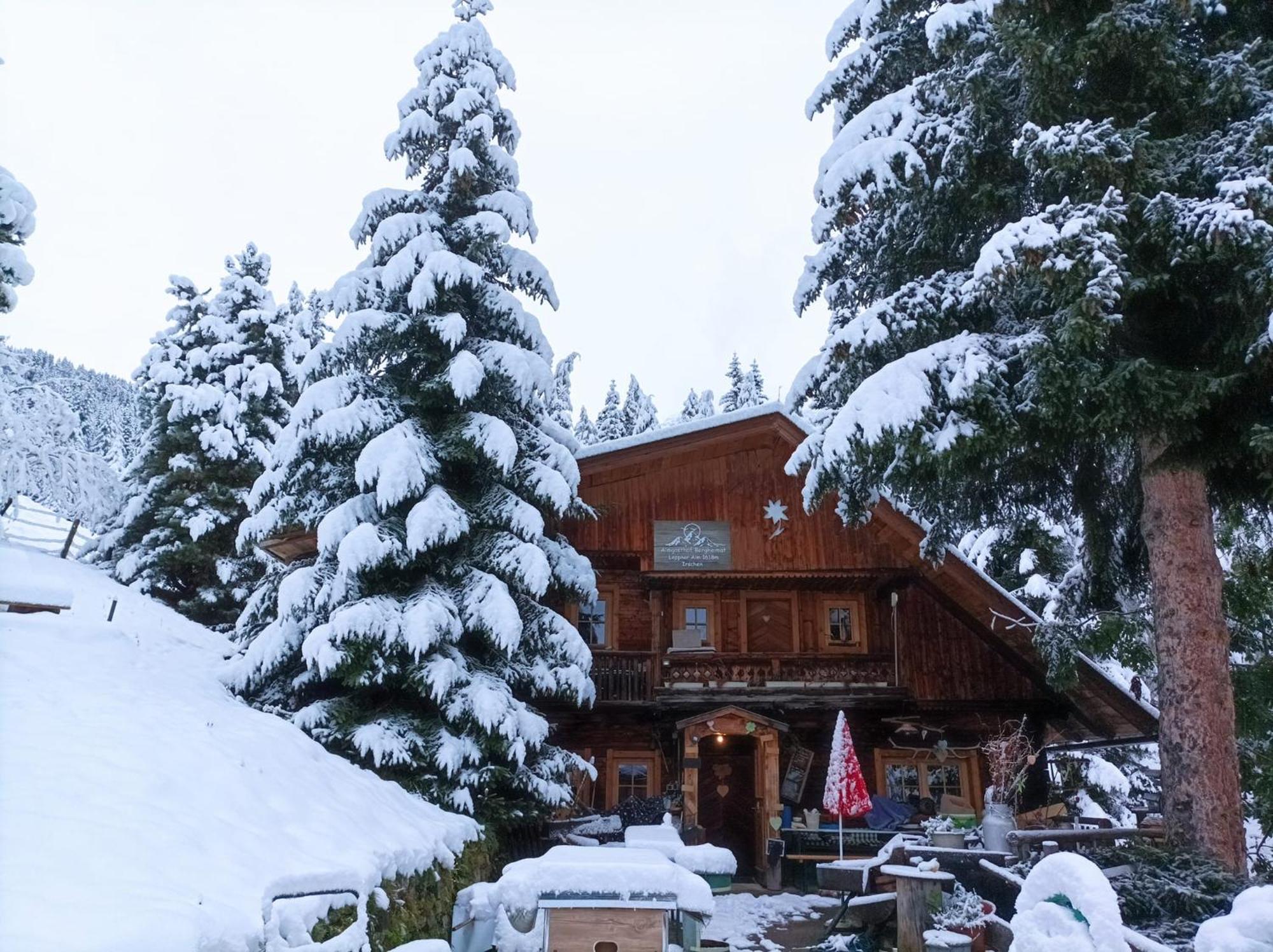 B&B,Bergheimat Oase Irschen Exteriör bild