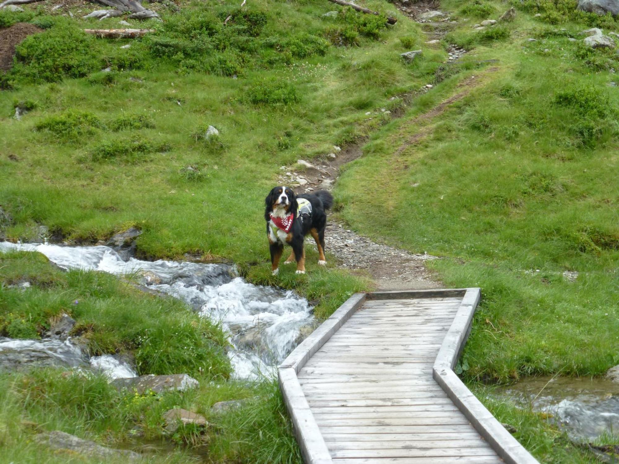 B&B,Bergheimat Oase Irschen Exteriör bild