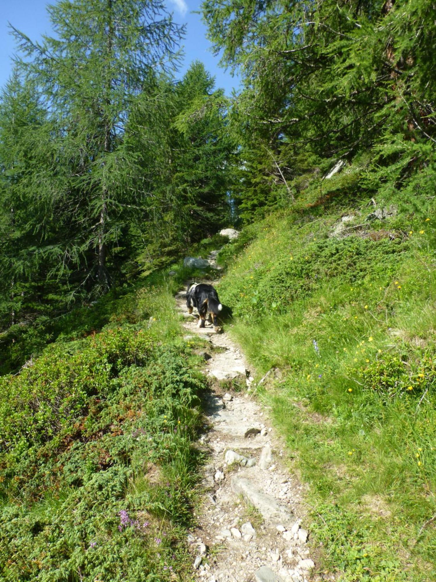 B&B,Bergheimat Oase Irschen Exteriör bild