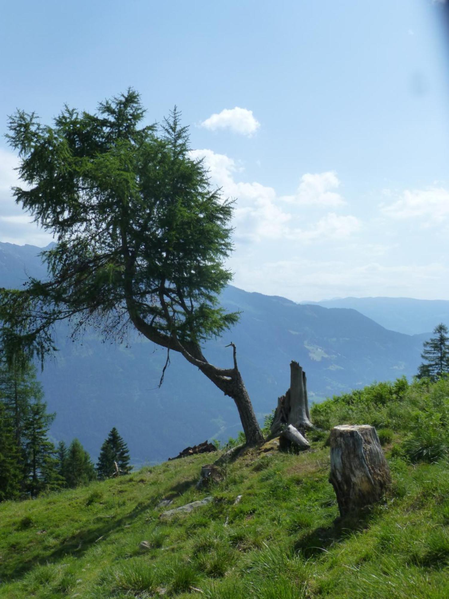 B&B,Bergheimat Oase Irschen Exteriör bild