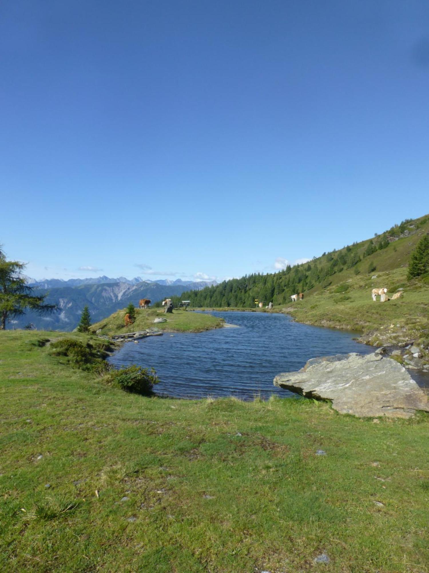 B&B,Bergheimat Oase Irschen Exteriör bild